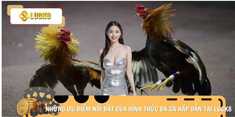 Những ưu điểm nổi bật của hình thức đá gà hấp dẫn tại Luck8